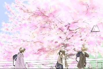 深入了解 大象电脑网页版